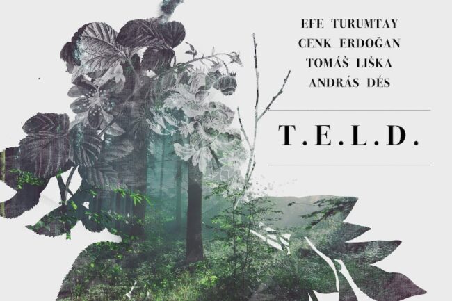 teld_cover T.E.L.D. lemez