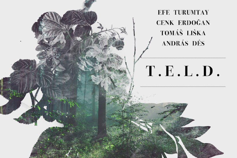 teld_cover T.E.L.D. lemez